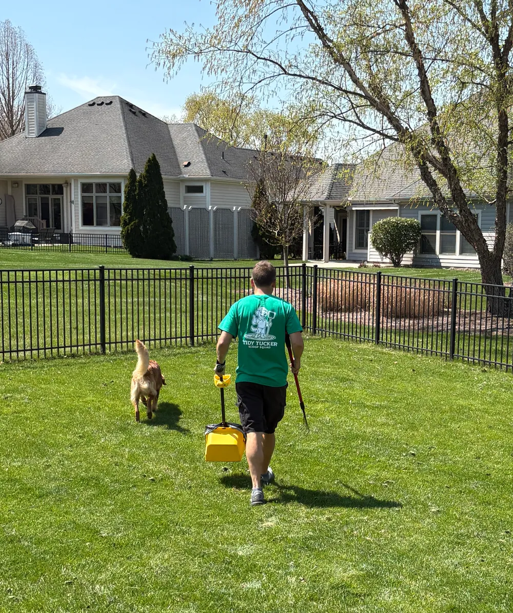Tidy Tucker team member and a dog in a fenced yard